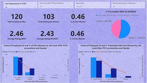 Forage PWC Power Bi job Simulation Virtual Internship HR report Diversity Among Employees Task 3