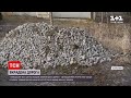 У Німеччині невідомі викрали 60 тон гранітного каменю для прокладання дороги | ТСН 19:30