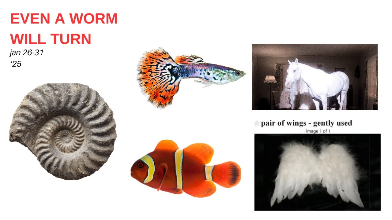 even a worm will turn