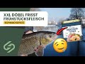 Mit Wurst zum Fisch – Angeln im Winter am Fluss