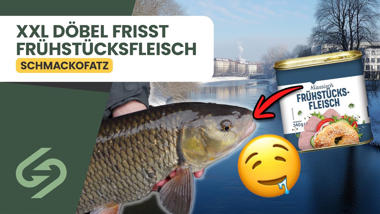 Mit Wurst zum Fisch  Angeln im Winter am Fluss
