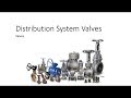 Valves in Water Distribution Systems: Types and Functions