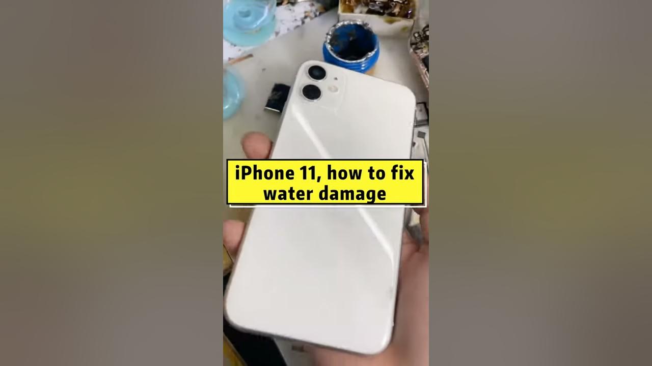 iphone 11 how to fix water damage YouTube