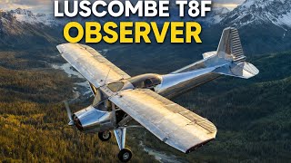 The Luscombe T8F Observer — Beautiful, Rare, and Nearly Forgotten