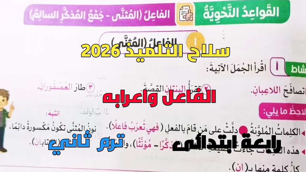 شرح وحل تدريبات سلاح التلميذ 2026 على قاعدة النحو الفاعل واعرابه رابعة ابتدائى ترم2 المنهج الجديد 