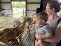 FALL ALPACA FESTIVAL! Tradewinds Alpacas in Alvin, TX - Pumpkin Patch