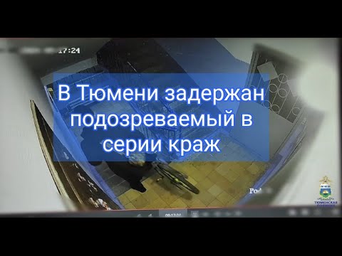 В Тюмени полицейские задержали подозреваемого в серии краж