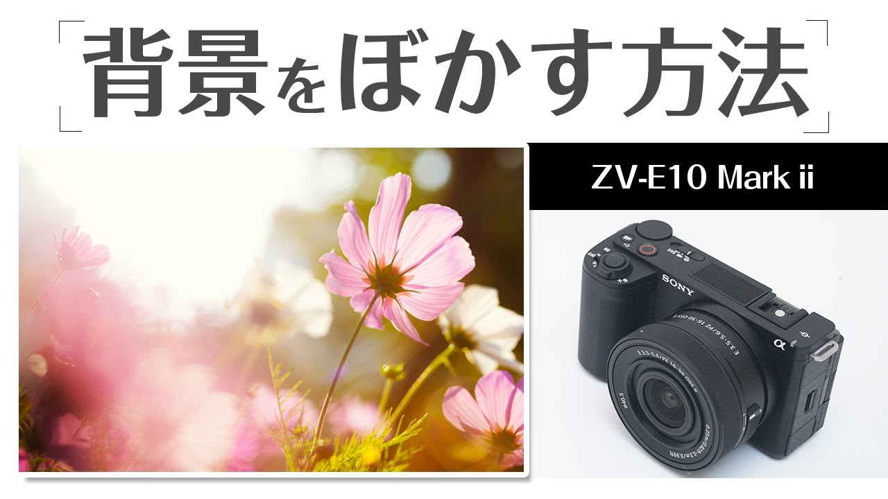 SONY ZV-E10ⅱ How to easily blur the background in still images