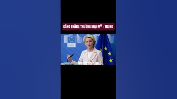 DOANH NGHIỆP TOÀN CẦU THIỆT HẠI HƠN 34 TỶ USD VÌ ĐÒN THUẾ CỦA ÔNG TRUMP #hoanang#tintuc#news