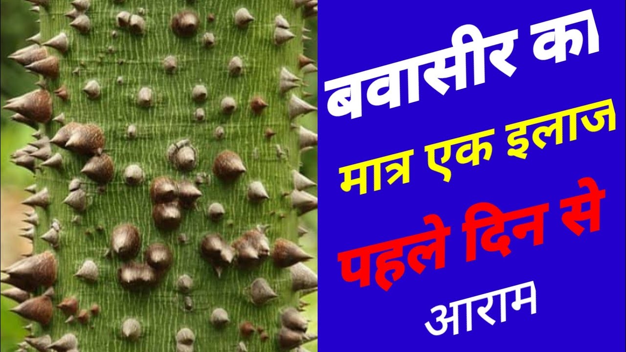 #बवासीर का मात्र एक इलाज पहले दिन से आराम #bavasir ka matra ek ilaaj ...