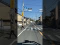 【歩行者最強説】赤信号も青に変えてしまう #shorts