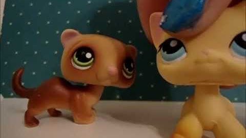 How to make a good Lps video