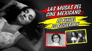 Las musas del cine mexicano de Buñuel lo recuerdan