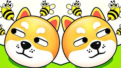 Save The Dog - All level Gameplay Android iOS (level 6-8)