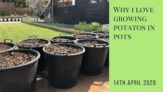 Why I love planting potatoes in containers