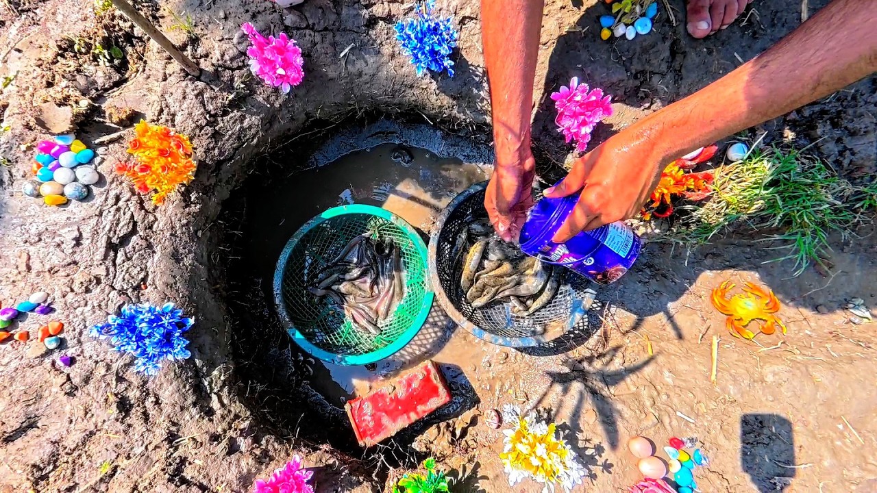 how to caught fish in a small pond desi | desi machhali video 🐠