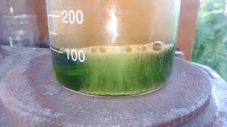 видео: Неприёмные золотые реле РЭС-34 картинка: Неприёмные золотые реле РЭС-34