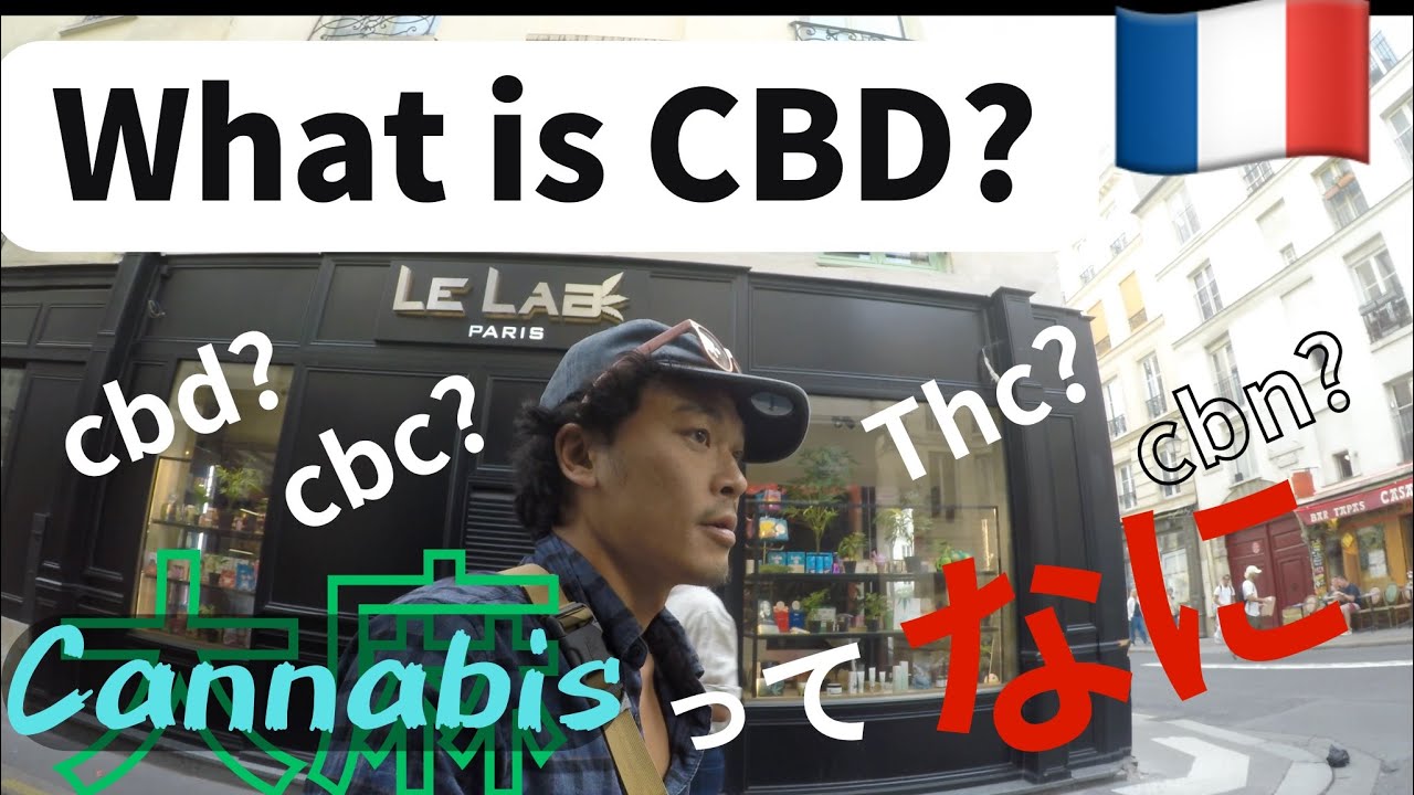 CBD shop dispensaries in Paris.  2025年パリの大麻事情お店に潜入
