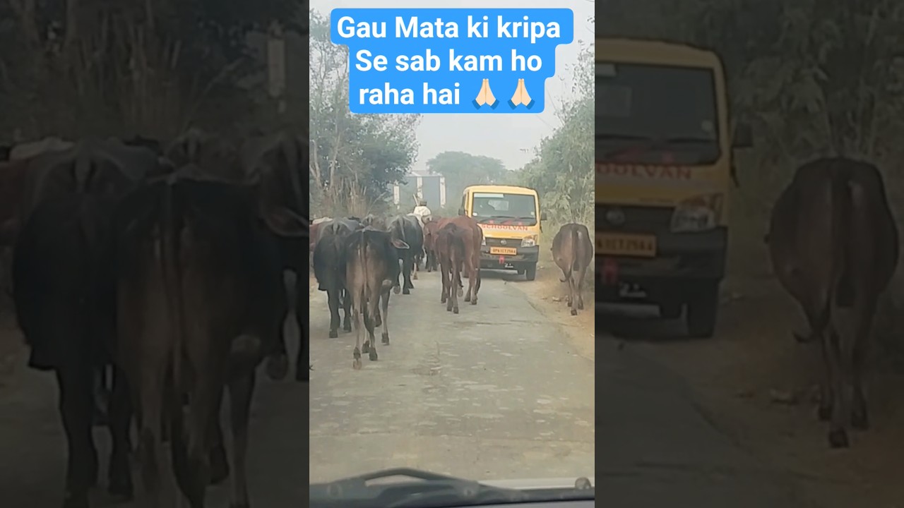 Gau Mata ki kripa Se