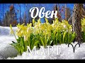 ♈ОВЕН✨МАРТ 2021/Таро-прогноз/Таро-Гороскоп Овен/Taro_Horoscope Aries/Spring 2021.