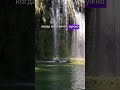 Типы друзей которые вам не нужны #психология #саморазвитие #друзья