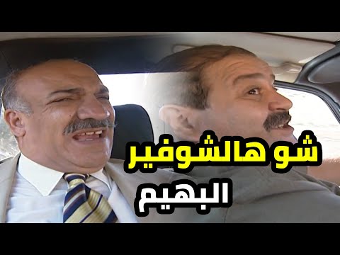 شوفير مسؤول مهم مانه مقدر النعمة يلي فيا و مبهم عالآخر