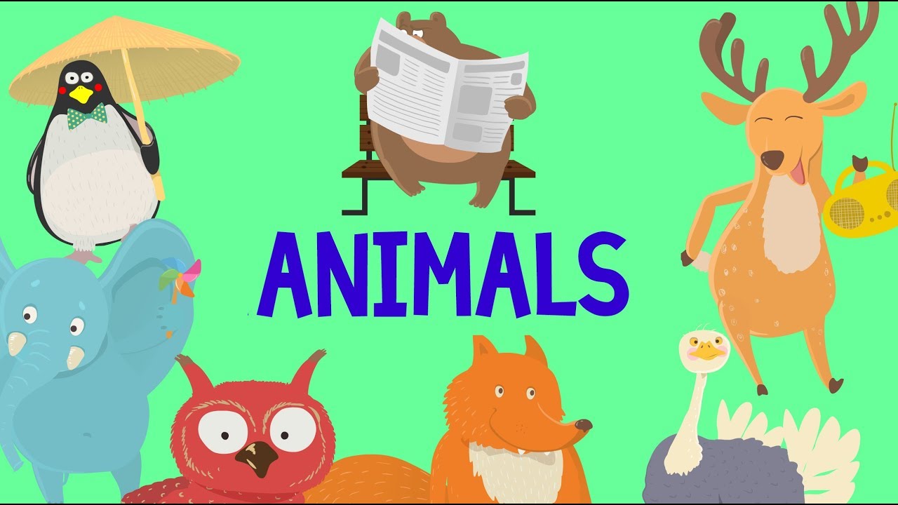 Animals names for children | Animal names for kids education | Kids  learning video - YouTube