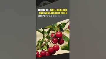 B.Sc Agriculture 2023 #admissions Open @ KL University - Apply Now.