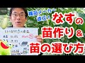 【家庭菜園】種苗メーカー直伝！ナスの苗作りのコツ【トキタ種苗】