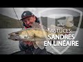 Astuces sandres en linaire by sylvain legendre