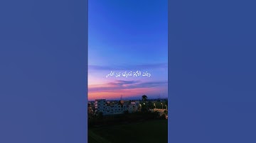 تلاوة نادرة من سورة آل عمران #تلاوة_خاشعة #تلاوة_نادرة #قران_كريم #راحة_نفسية #quran #مشاري_العفاسي