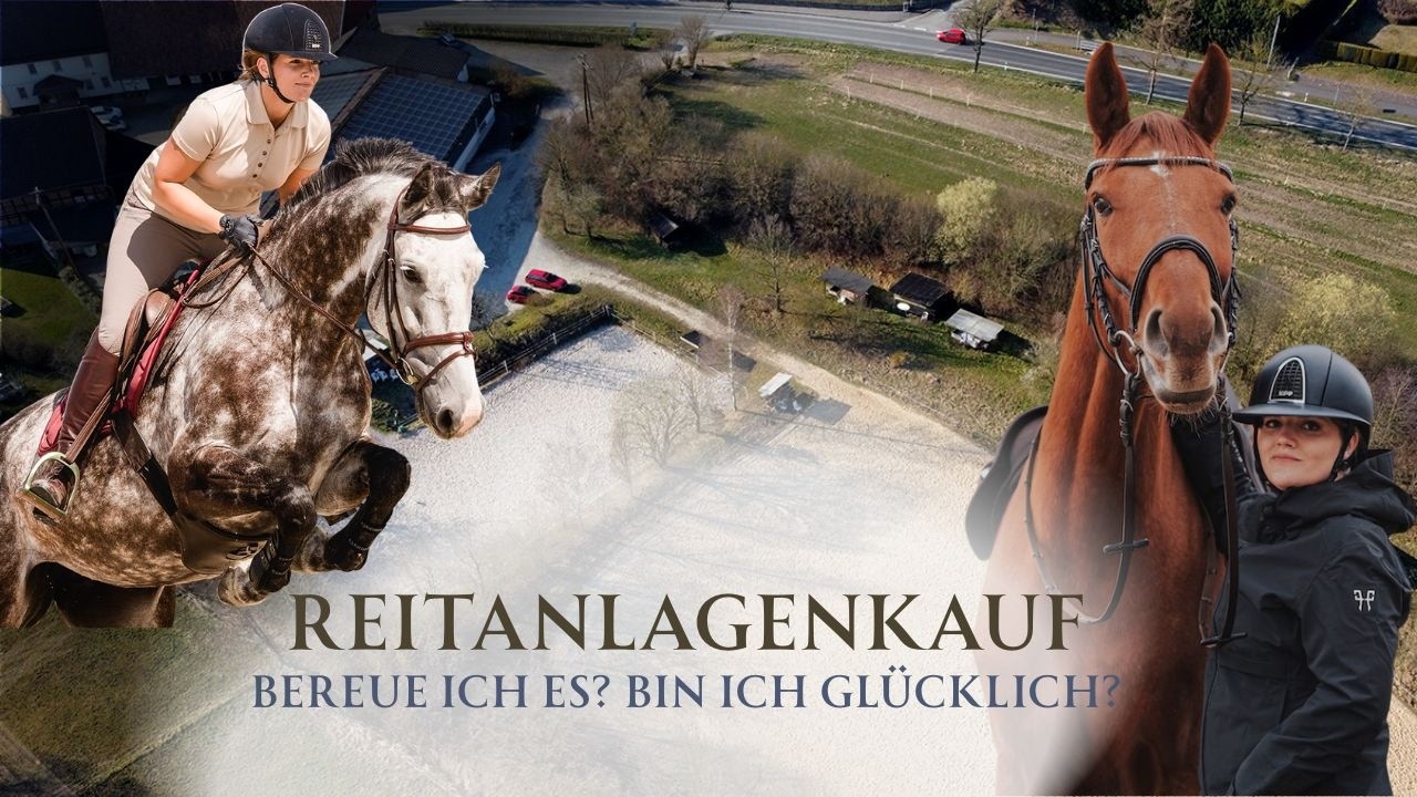 Fazit nach eineinhalb Jahren Reitanlagenbetreiberin