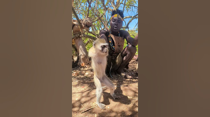 Wow,, 😳 Hadza Bushmen Caught A Mother Monkey Alive For The Meal 😋😋😋❤️❤️❤️#shorts #food #cooking #art