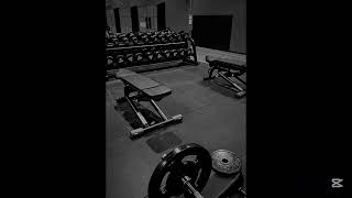 Ero7 - Mr Fitness