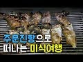 대한민국 대표 항구, '주문진항' 해산물 #오징어 #숭어 #도루묵 #곰치  [어영차바다야]