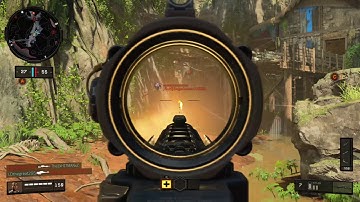no scope in COD BO4