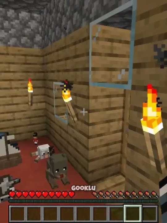 Villager Revenge Minecraft 🤣