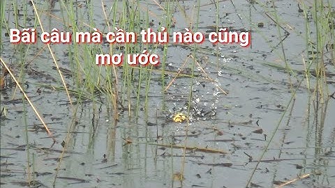 Câu Cá lóc Chỉ Ước Có Bãi Câu Đẹp Như Thế Này Thôi Cả Nhà Ơi | Snakehead Fishing