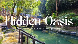 Hidden Oasis: Waterfall, Natural Pool & Durian Delight