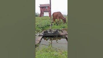 point change analog system of Bangladesh railway #railwaycontent #ytshorts #railtrack