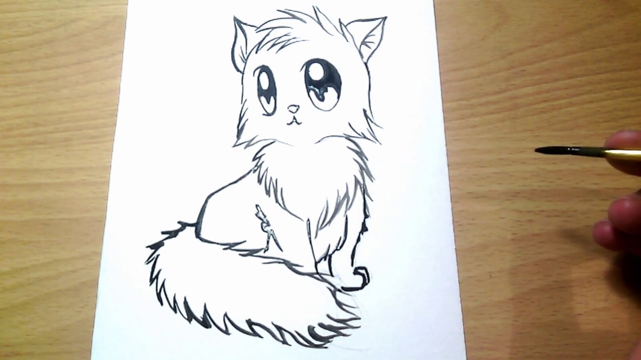 рисунки для срисовки котики. рисунки для срисовки фломастерами. детские рисунки фломастерами. котенок для рисования.