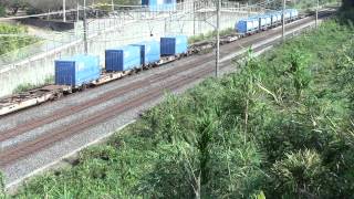 東海道線 951レ EF66-36+コキ 二宮-国府津にて