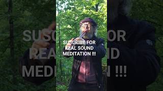 ASMR Shamanic Flute Meditation • Quena Solo in the Forest (Talk with Trees)432hz