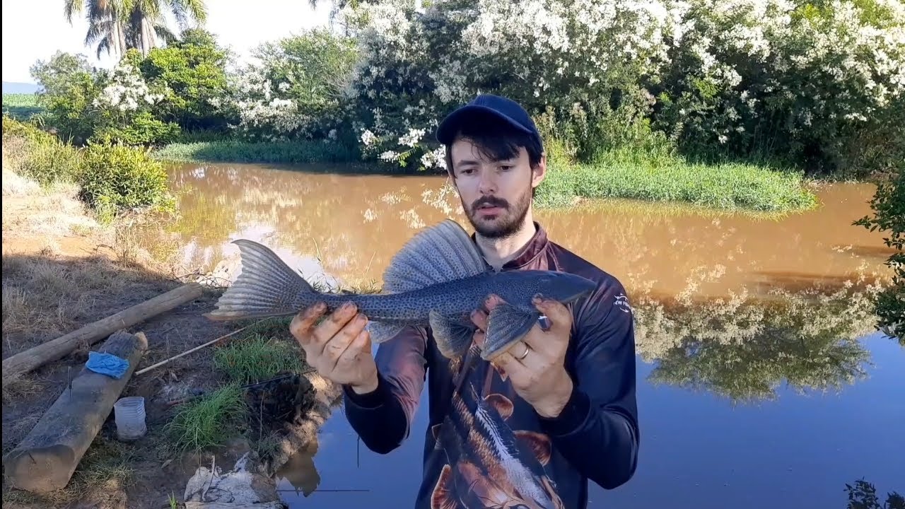 SURPRESA NA PESCARIA, VEIO ATÉ O CASCUDO ASA BRANCA