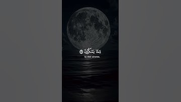 قرآن كريم بصوت جميل #قرآن #قران_كريم #المصحف #قران