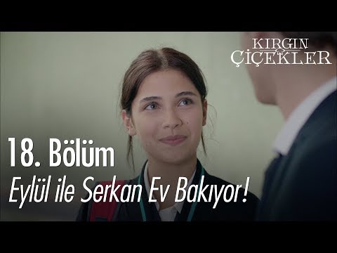 Eylül ile Serkan ev bakıyor! - Kırgın Çiçekler 18. Bölüm