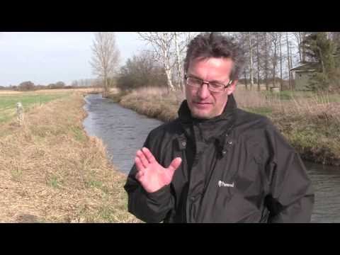 Video: Hvad gør du, når du vandplaner?