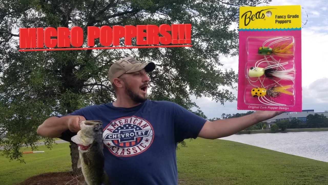 THE WORLDS SMALLEST TOP WATER POPPER? #fishing #topwater #bassfishing 