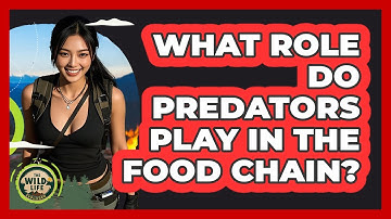 What Role Do Predators Play In The Food Chain?