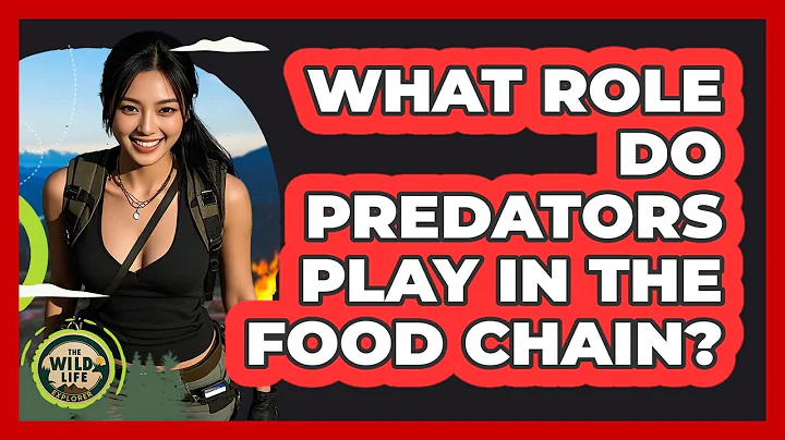 What Role Do Predators Play In The Food Chain?